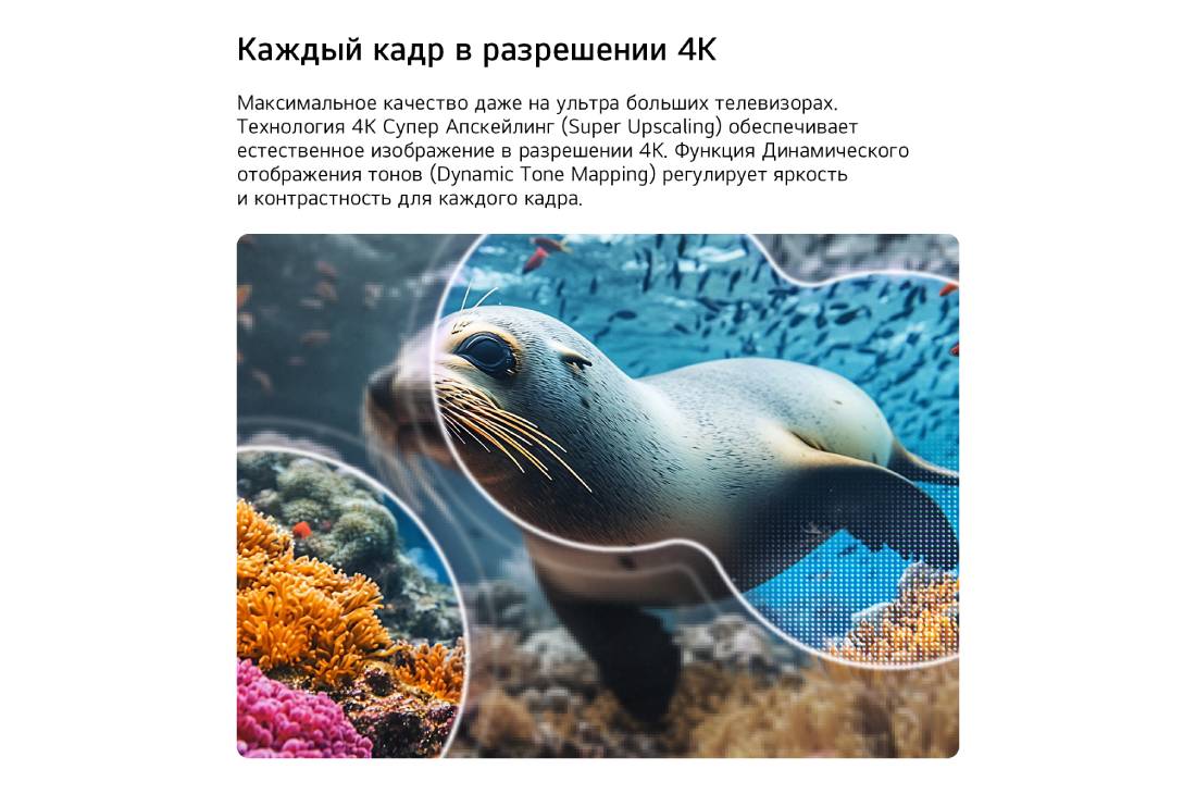 LG 75-дюймовый телевизор Smart TV LG NANO 4K UHD AI NU85 2026, LG NANO 4K UHD AI NU85 с технологиями 4K  Супер - апскейлинг (Super Upscaling) и Динамическая тональная компрессия (Dynamic Tone Mapping) показывает подводную сцену с морским львом, а ИИ распознает и , 75NU850B6LA, thumbnail 6