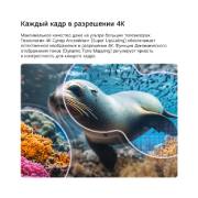 LG 75-дюймовый телевизор Smart TV LG NANO 4K UHD AI NU85 2026, LG NANO 4K UHD AI NU85 с технологиями 4K  Супер - апскейлинг (Super Upscaling) и Динамическая тональная компрессия (Dynamic Tone Mapping) показывает подводную сцену с морским львом, а ИИ распознает и , 75NU850B6LA, thumbnail 6