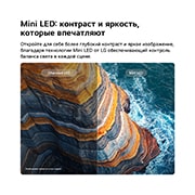 LG 65-дюймовый умный телевизор LG QNED evo AI Mini LED QNED8M 4K 2026, LG QNED evo AI Mini LED QNED8M на разделенном изображении прибрежного утеса демонстрирует, как технология Mini LED раскрывает более четкие текстуры скал и более ясные детали океана по сравнению с обыч, 65QNED8MB6C, thumbnail 4