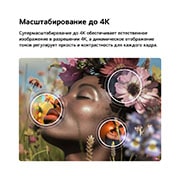 LG 55-дюймовый телевизор Smart TV LG NANO 4K UHD AI NU80 2026, LG NANO 4K UHD AI NU80 с технологиями 4K Супер - апскейлинг (Super Upscaling) и Динамическая тональная компрессия (Dynamic Tone Mapping) показывает подводную сцену с морским львом, а ИИ распознает и масштабирует каждый кадр до разрешения 4K., 55NU800B6LA, thumbnail 6