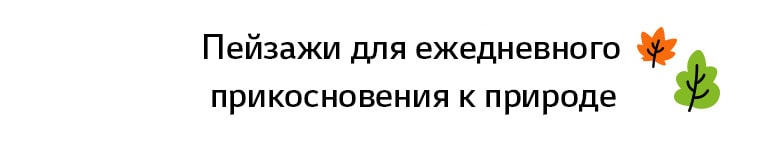Заголовок: «Пейзажи для ежедневного прикосновения к природе»