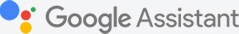 google assistant