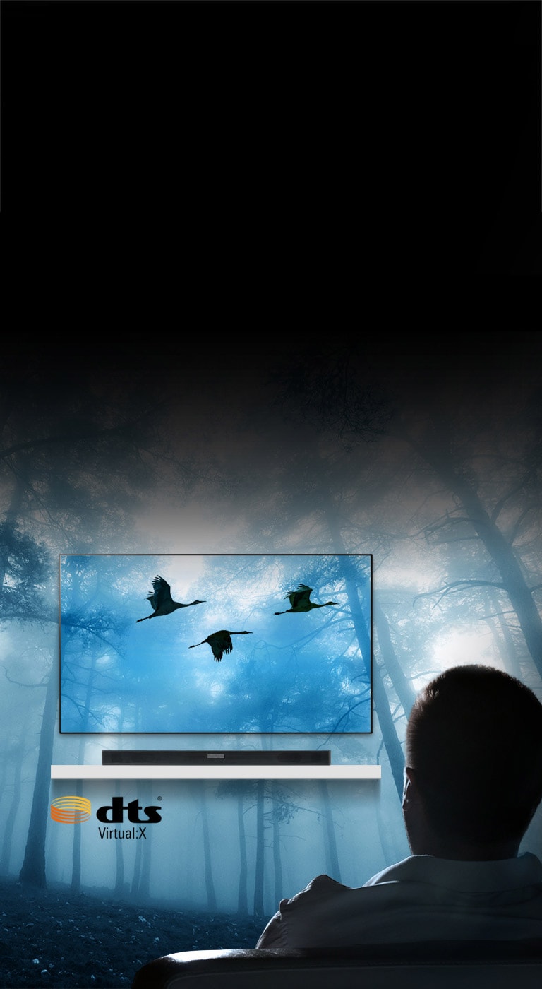 Prísľub plného priestorového zvuku2