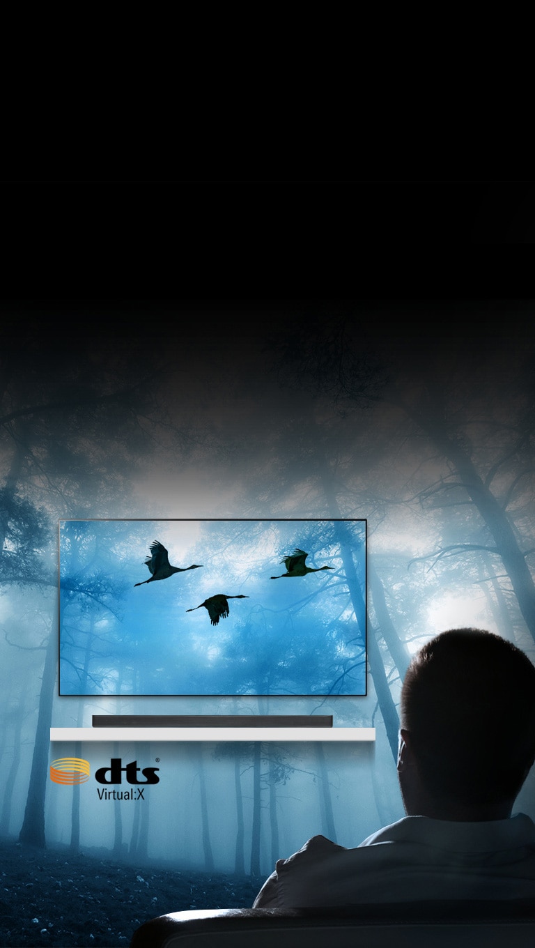 Prísľub plného priestorového zvuku2