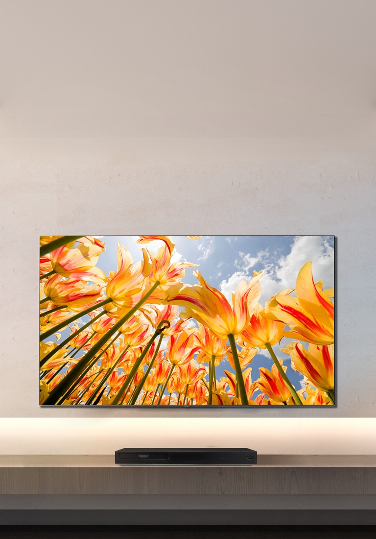 Prehrávanie diskov 4K, pre maximálne verný obraz2