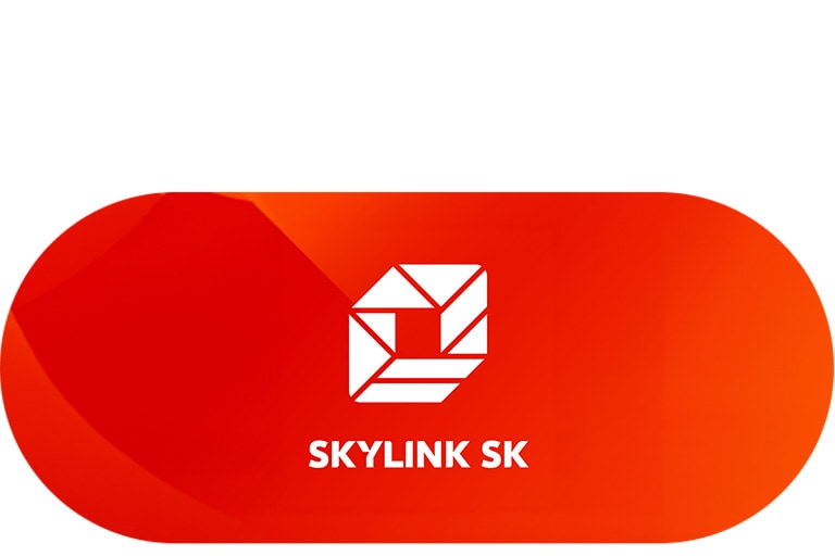 Logo Skylink