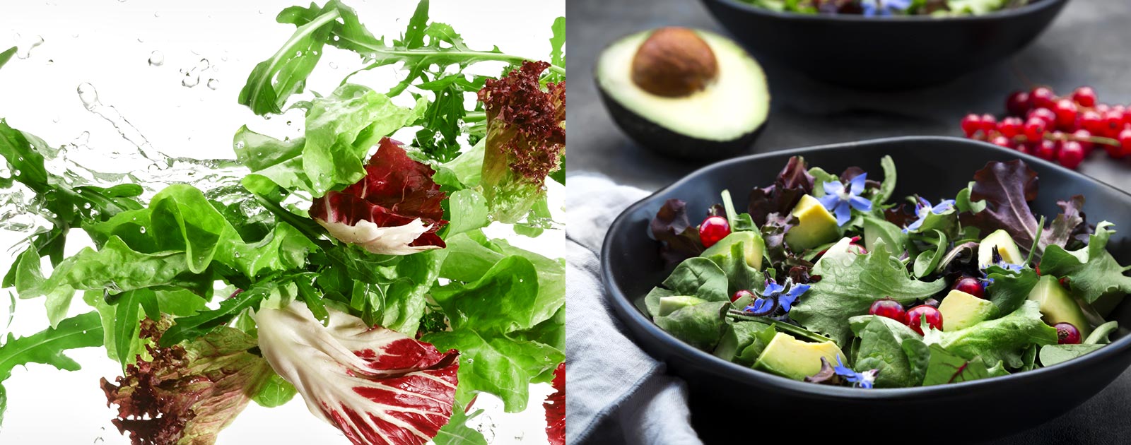 Jedlo zostane čerstvé