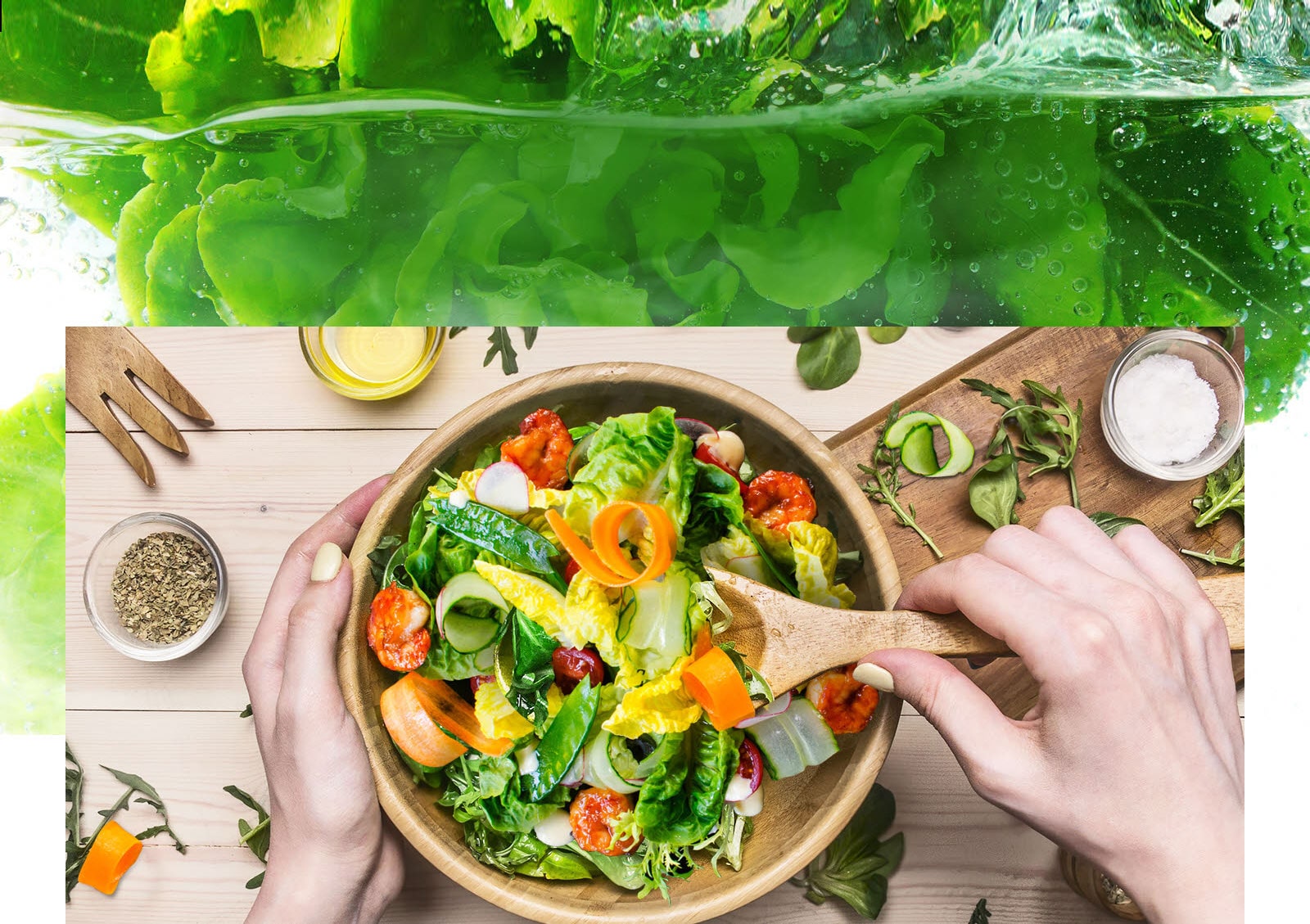 Aby vaše potraviny zostali dlhšie čerstvé1