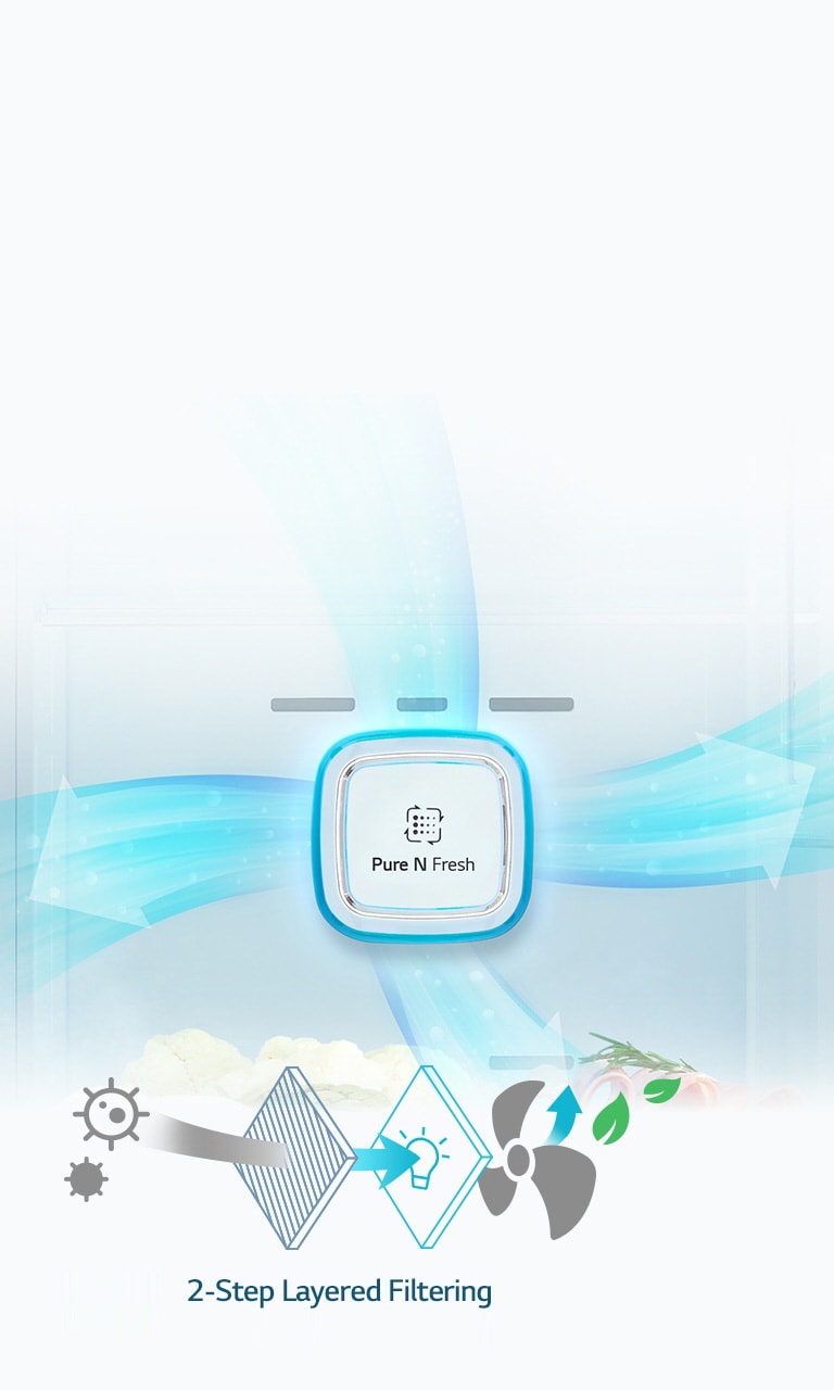 Filter Pure N Fresh2