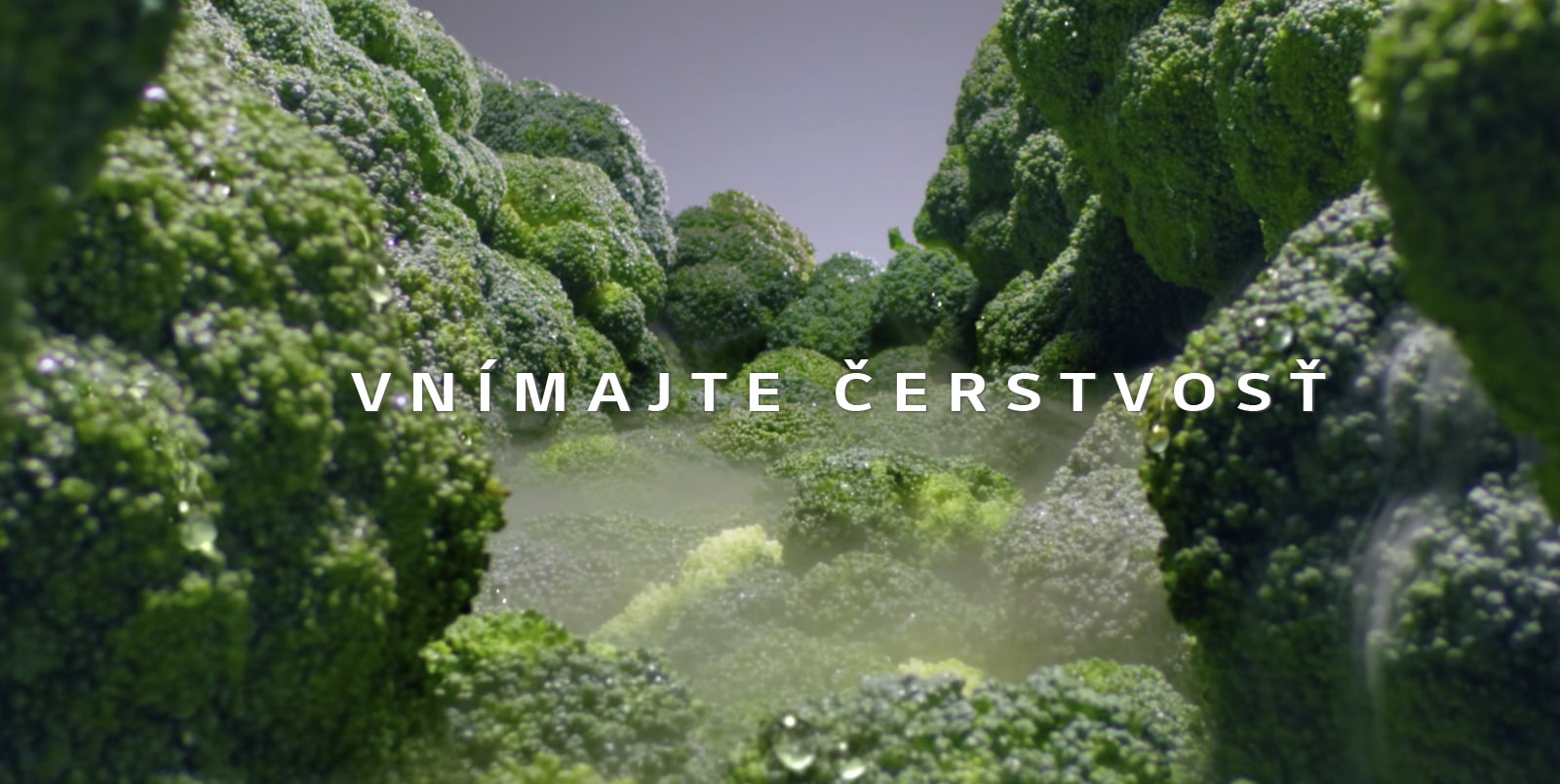 REF-P-Veyron6-Refresh-DID-PlatinumSilver3-Non-Plumbing-07-2-LINEAR-D