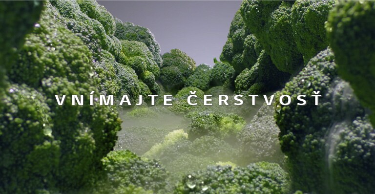 REF-P-Veyron6-Refresh-DID-PlatinumSilver3-Non-Plumbing-07-2-LINEAR-M