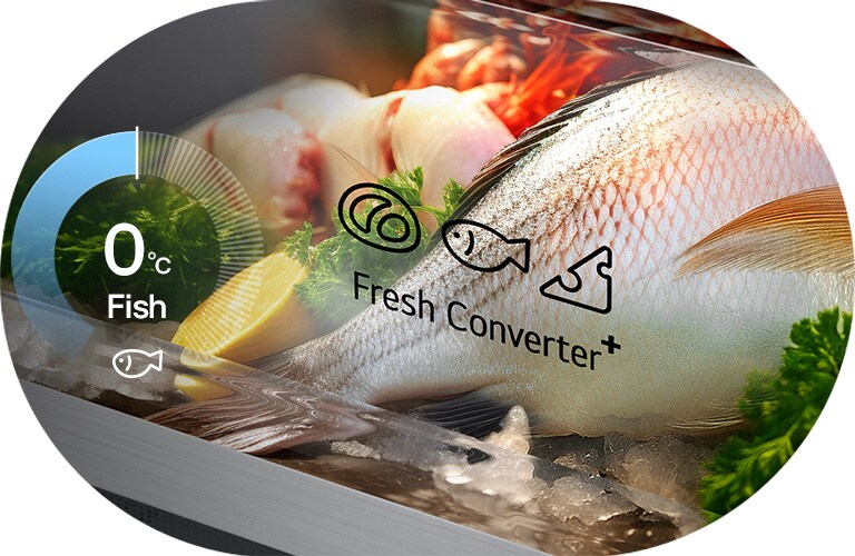 Chladnička so spodnou mrazničkou LG (GBBW726CPY), grafika s kruhovým grafom zobrazujúcim 0 °C vľavo a čerstvou rybou uloženou v boxe Fresh Converter vpravo