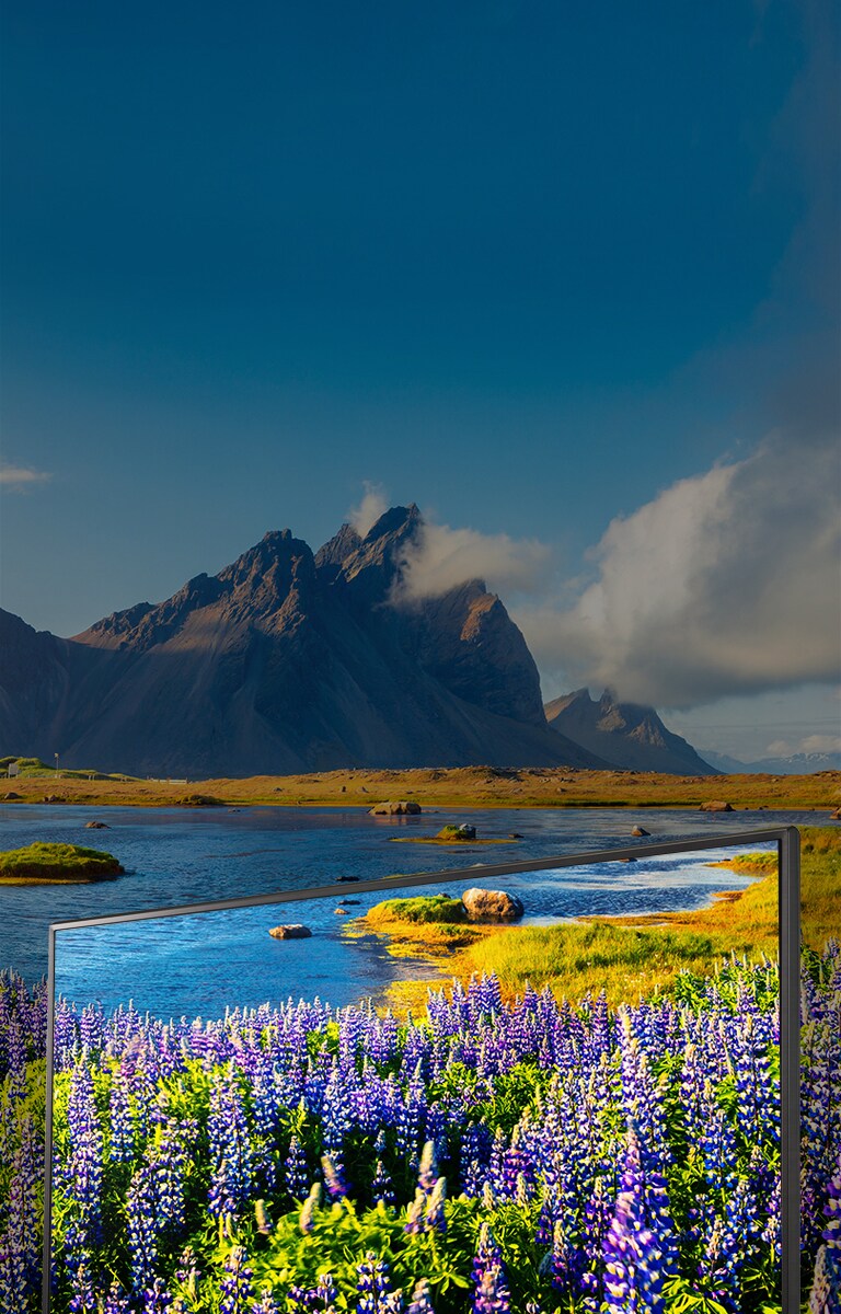 Rozlíšenie Full HD prináša živšie farby