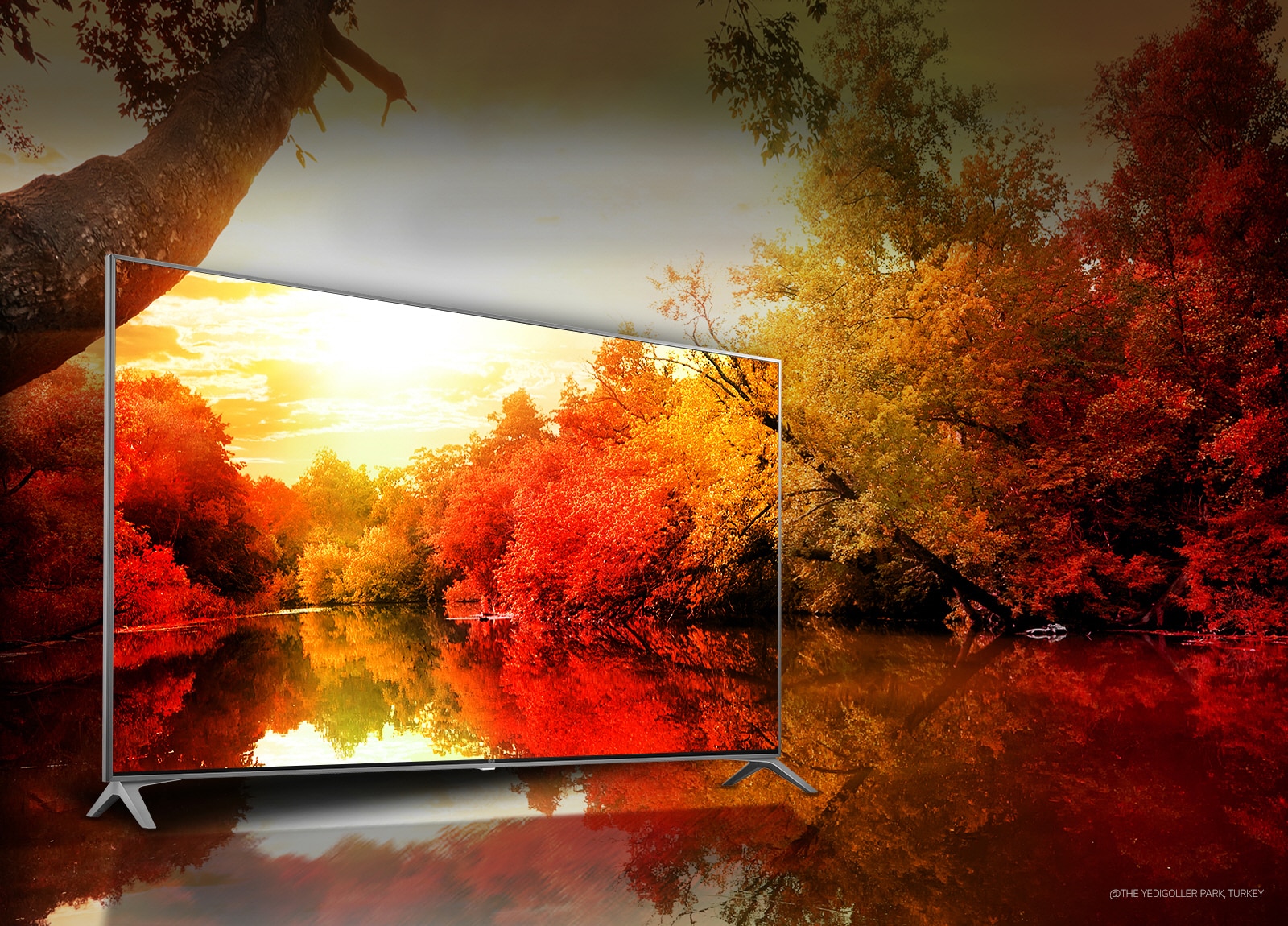 Miliarda pôsobivých sýtych farieb1