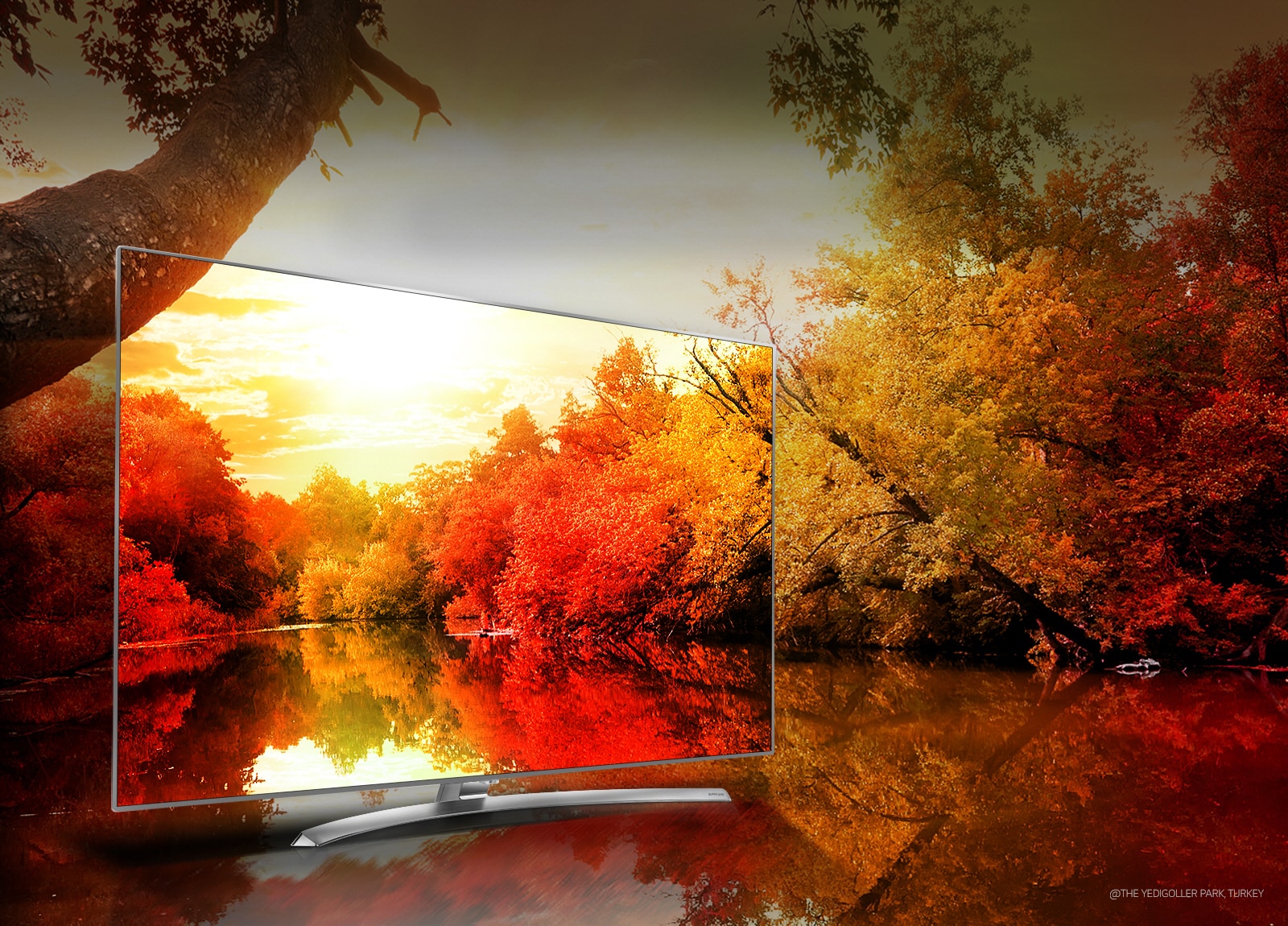 Miliarda pôsobivých sýtych farieb1