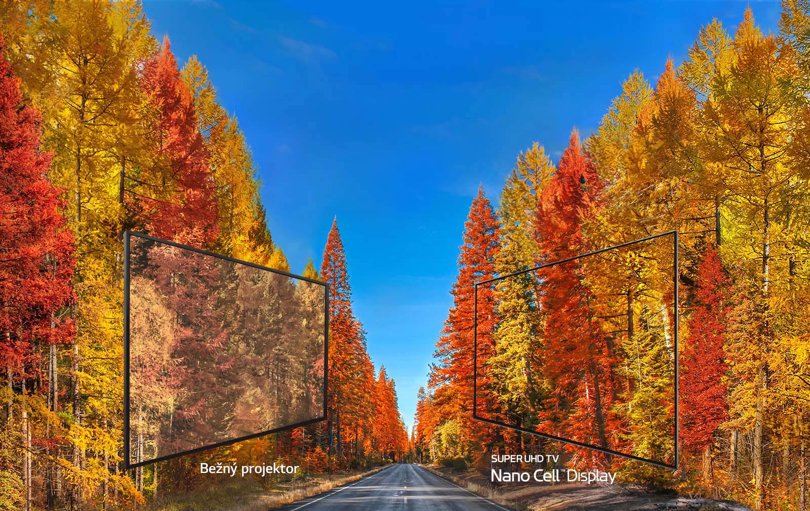 Odhaľujeme pravdu o zobrazovaní farieb na TV<br>1