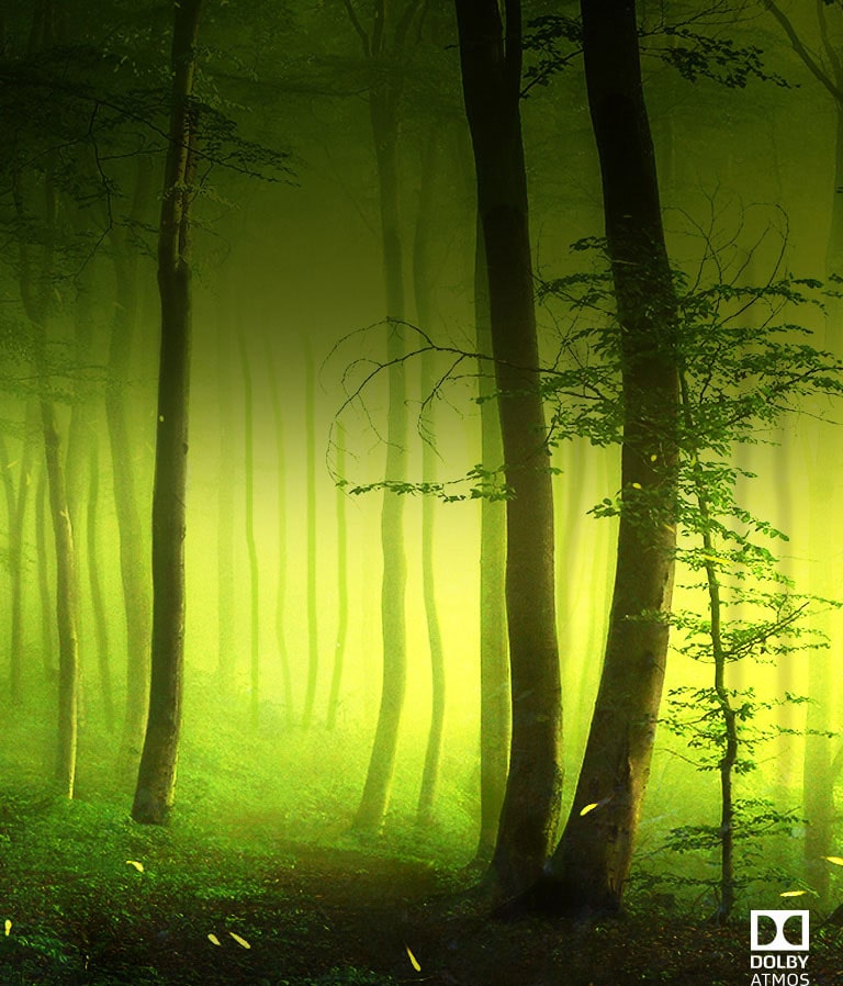 Dolby Atmos®<br>Filmový zvuk v domácnosti<br>2