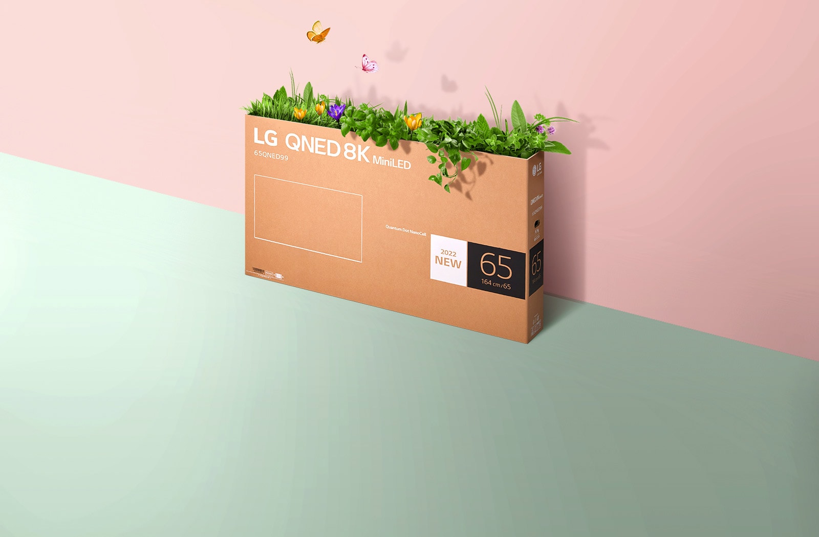 Balenie televízora QNED je umiestnené pred ružovo-zeleným pozadím, pričom zvnútra vyrastá tráva a vylietajú motýle. 
