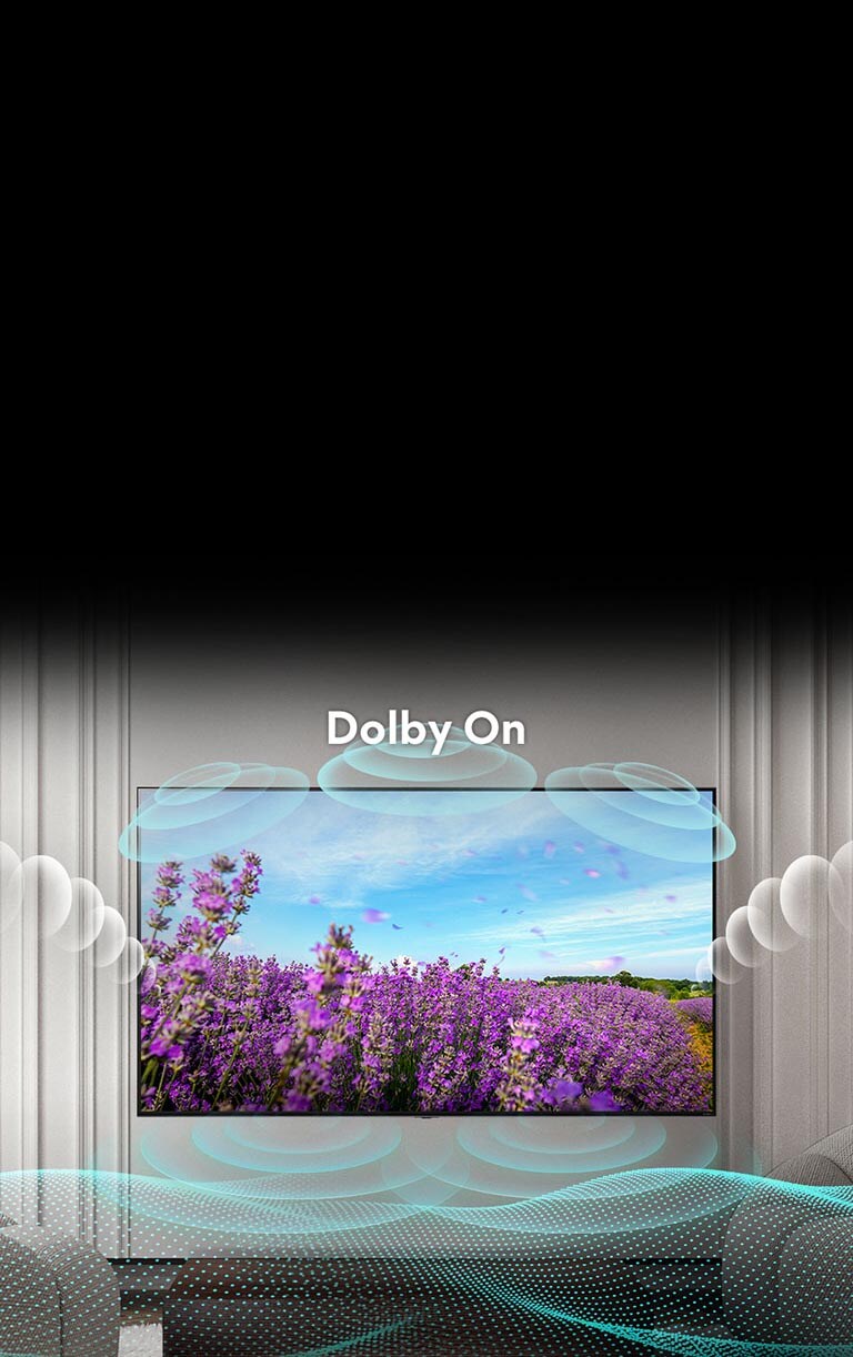 QNED TV screen shows a rapeseed pink flowers on summer field and the text in the middle says Dolby OFF. The inscreen image becomes brighter and the text changes to dolby on.