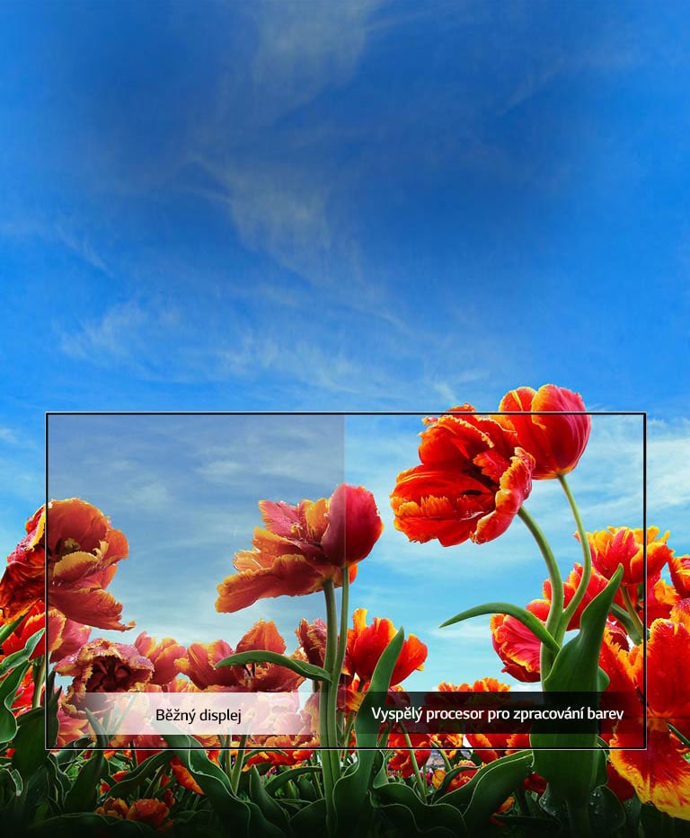 Dynamické vylepšenie farieb2