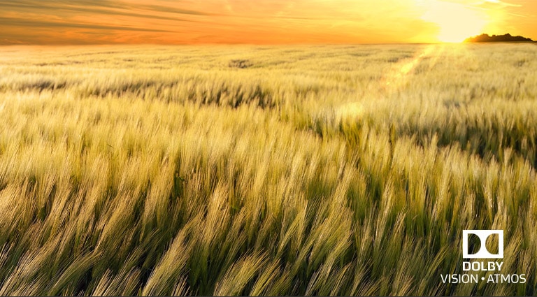 Dolby Vision a Atmos<br>Zážitok ako v kine2