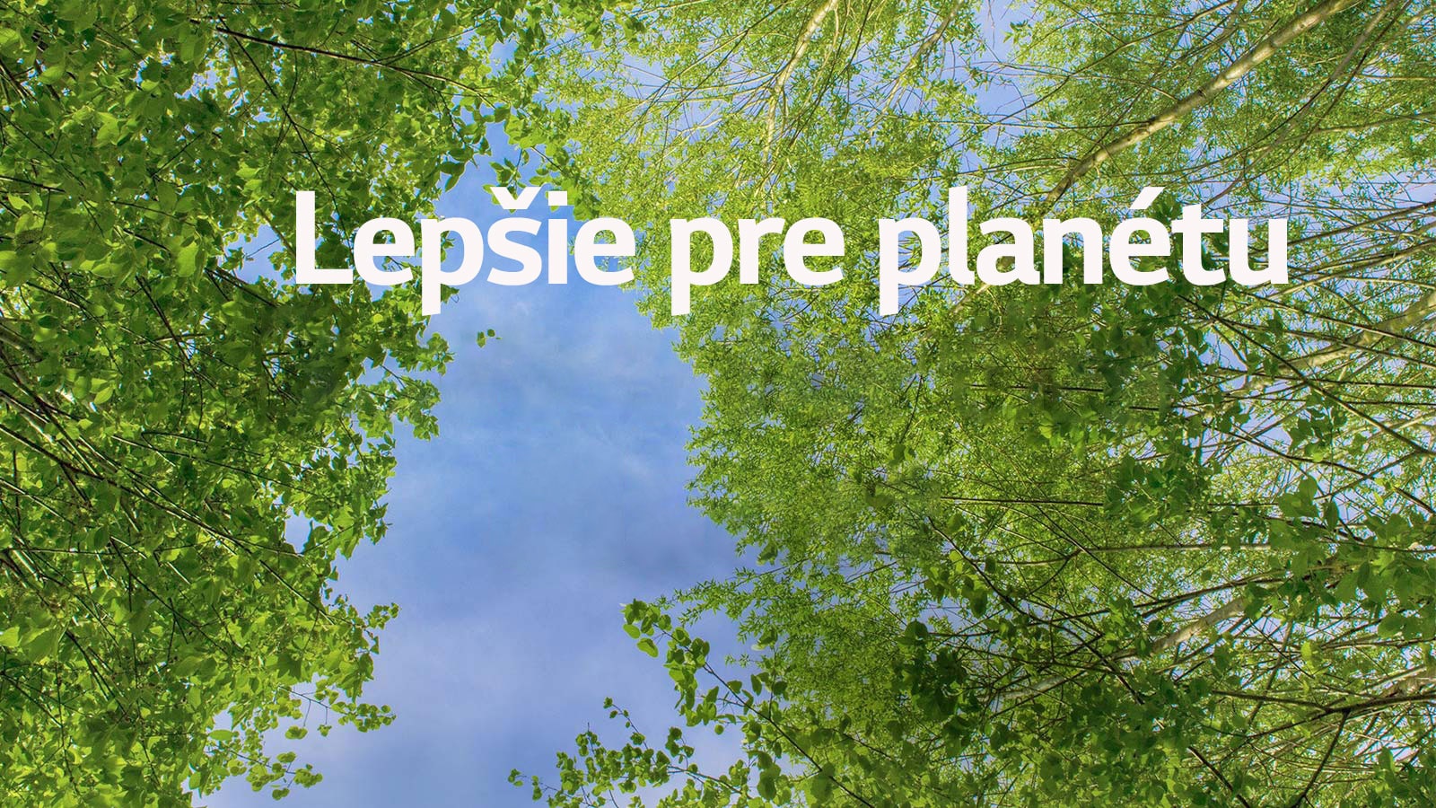 Zelený obrázok plný bohato listnatých stromov, medzi ktorými presvitá obloha