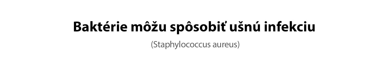Baktéria Staphylococcus aureus, ktorá spôsobuje ušné infekcie.