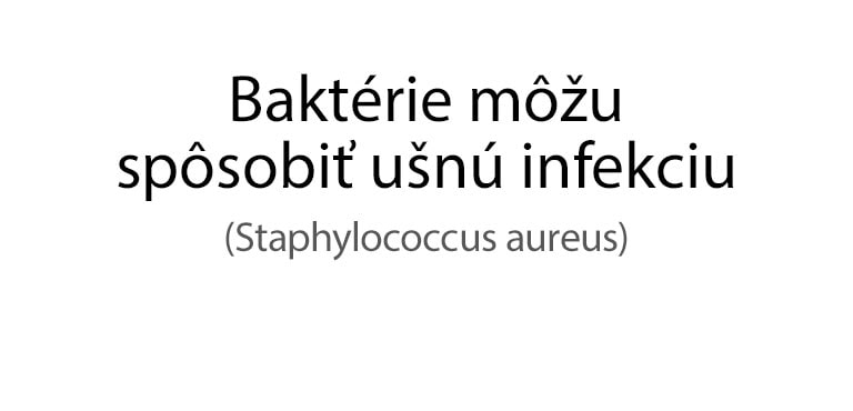 Baktéria Staphylococcus aureus, ktorá spôsobuje ušné infekcie.