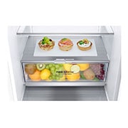 LG Kombinovaná chladnička | E (v rozsahu A až G) | Hrubý objem 374 l | 267 kWh/rok | LG Lineárny invertorový kompresor | LG Total No Frost | DoorCooling+™ | Vonkajší LED displej | LG ThinQ™ + WiFi, GBB71SWDZN, thumbnail 12