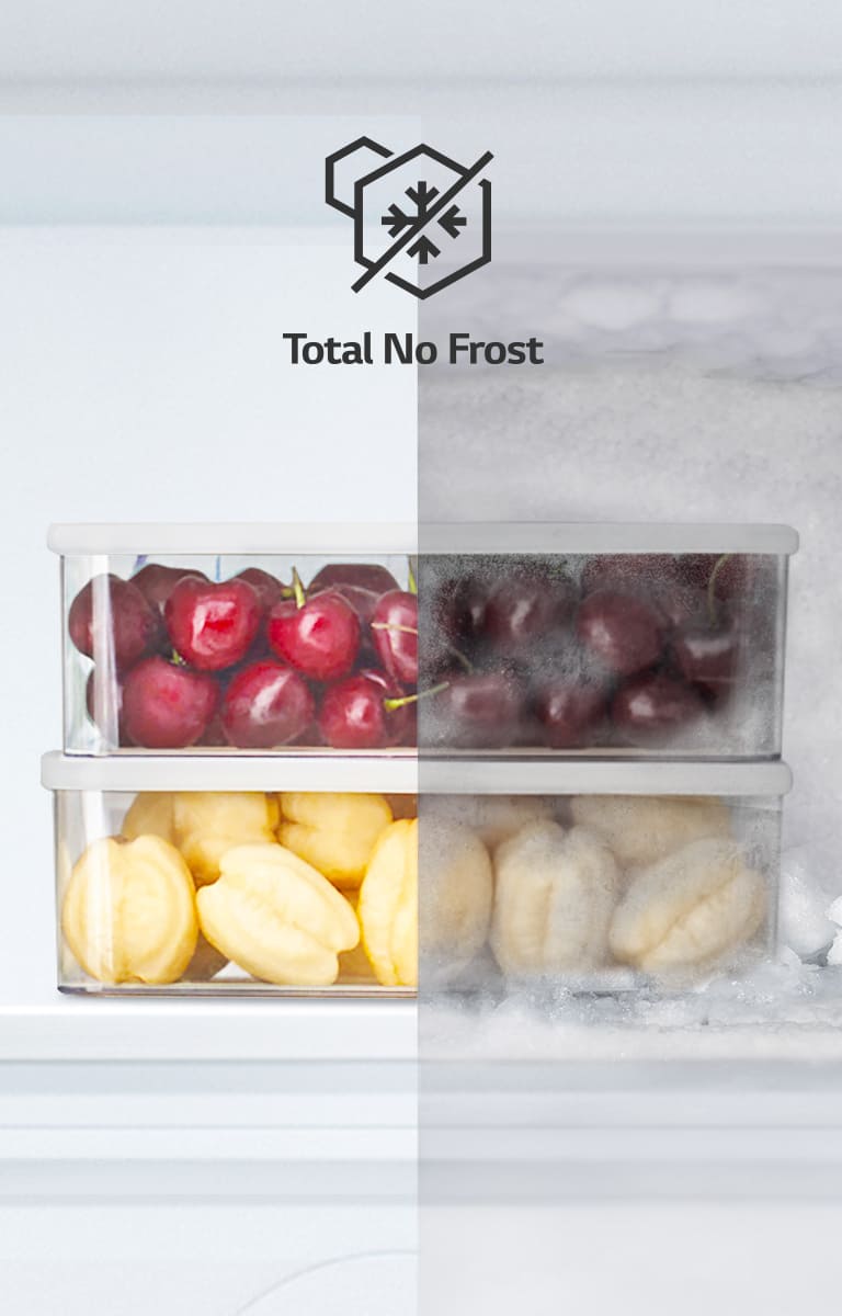 plody napol rozmrazené, napol zmrazené s ikonou total no frost.