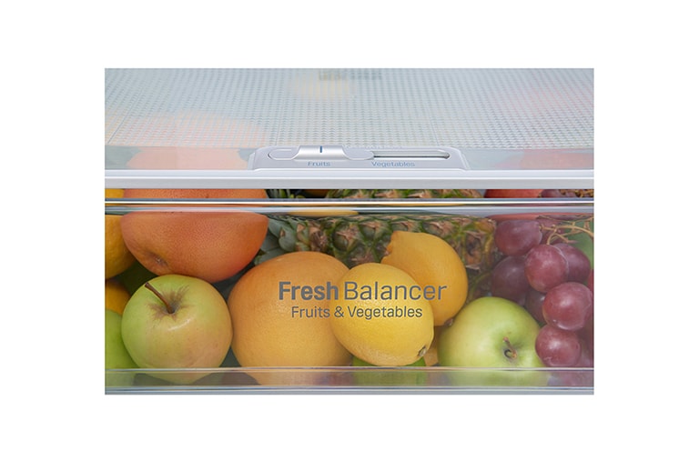 LG Hrubý objem 375 l | 266 kWh/rok | LG Lineárny invertorový kompresor | LG Total No Frost | Multi-Air Flow™ | NatureFRESH | Vnútorný LED displej | Smart Diagnosis™, GBB60PZGZS, thumbnail 5