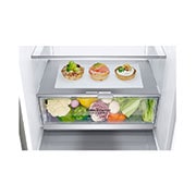 LG D | Hrubý objem 419 l | 173 kWh/rok | LG Lineárny invertorový kompresor | LG Total No Frost | DoorCooling+™ | Vonkajší LCD displej | ThinQ™ + WiFi, GBB92STAXP, thumbnail 5