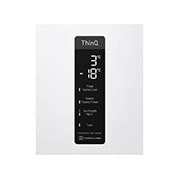 LG D | Hrubý objem 419 l | 193 kWh/rok | LG Lineárny invertorový kompresor | LG Total No Frost | DoorCooling+™ | Vonkajší LED displej | ThinQ™ + WiFi, GBB72SWDFN, thumbnail 10
