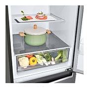 LG E | Hrubý objem 373 l | 253 kWh/rok | LG Smart invertorový kompresor | LG Total No Frost | DoorCooling+™ | Vonkajší LED displej | Smart Diagnosis™, GBP31DSLZN, thumbnail 3