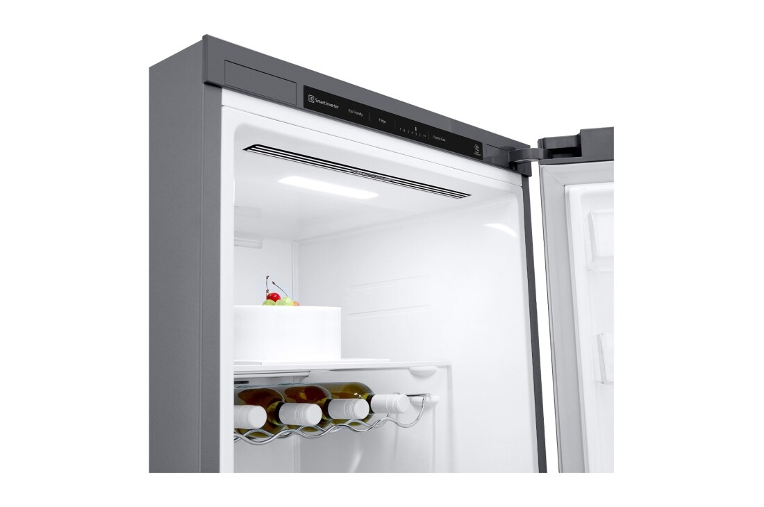LG Chladnička | E | 386 l | LG Lineárny kompresor | DoorCooling+™, GLT51PZGSZ, GLT51PZGSZ, thumbnail 4