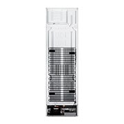 LG Kombinovaná chladnička LG | C | 384 l | Smart Invertorový kompresor | DoorCooling+™, GBB72SWUCN1, GBB72SWUCN1, thumbnail 15
