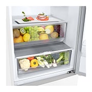 LG Kombinovaná chladnička | B | 384 l |  | Lineárny kompresor , GBP62SWNBC, GBP62SWNBC, thumbnail 6