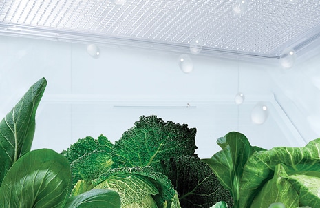 Moist Balance Crisper™ - priehradka na zeleninu a ovocie