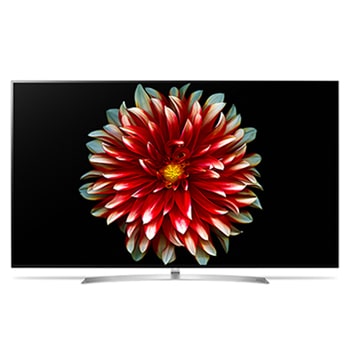 65" LG OLED TV 4K, webOS 3.51