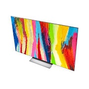 LG 65'' LG OLED evo TV, webOS Smart TV, pohľad zblízka na zadný terminál, OLED65C22LB, thumbnail 9