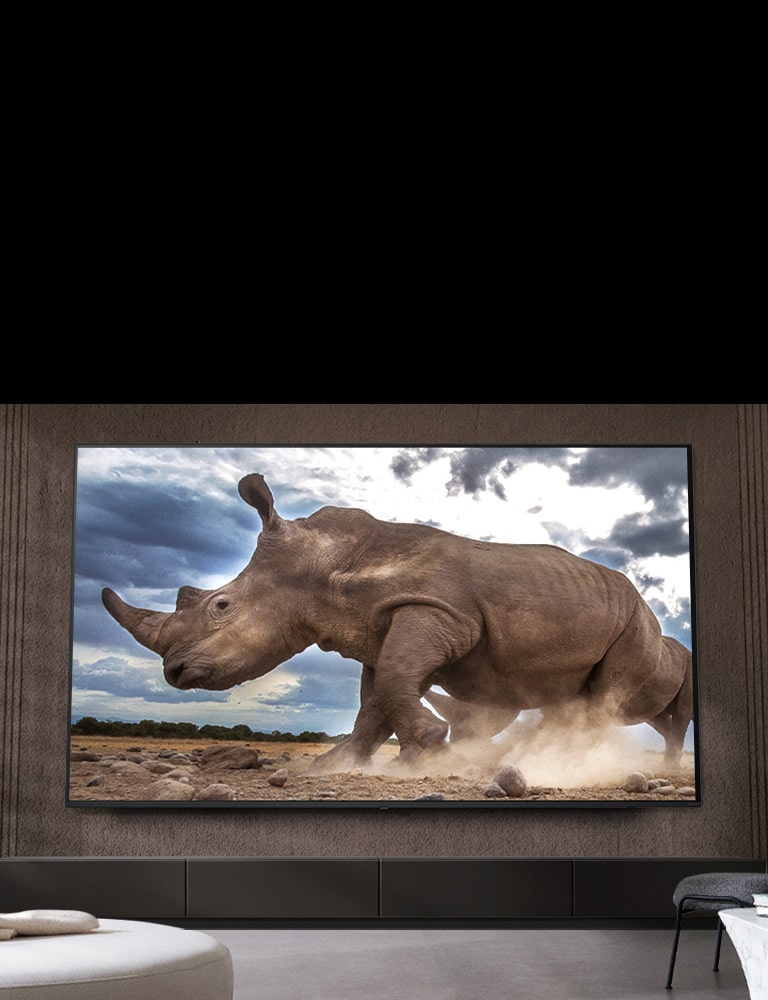 Na ultra veľkom televízore LG na hnedej stene obývačky obklopenej modulárnym nábytkom v krémovej farbe sa zobrazuje nosorožec v prostredí safari.