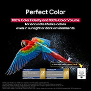 LG 65 palcový LG OLED evo AI C5 4K Smart TV 2025, Na obrazovke televízora sa zobrazuje oslnivý a žiarivo farebný ohňostroj. Toto dokazuje 100 % vernosť farieb, ktorá zobrazuje presné farby aj na slnečnom svetle.  Zobrazuje sa certifikačné logo s text, OLED65C56LB, thumbnail 8