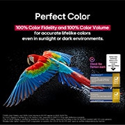 LG 48 palcový LG OLED evo AI C5 4K Smart TV 2025, Farebný papagáj v ultra vysokom rozlíšení na čiernom pozadí. Kvapky vody sa vznášajú vo vzduchu všade okolo neho. Obraz prezentuje funkciu Perfect Color, keďže každý odtieň na tele papagája je sýty a , OLED48C56LB, thumbnail 7