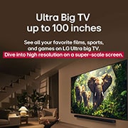 LG 55 palcový LG QNED evo AI QNED85 4K Smart TV 2025, Dievča a pes sedia pred televízorom LG QNED TV namontovaným na stene, na ktorom sa zobrazujú tri slony kráčajúce smerom von nad soundbarom LG Soundbar. Nadpis informuje o tom, ako na obrovskej obrazov, 55QNED86A6A, thumbnail 9