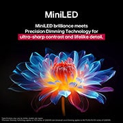 LG 55 palcový LG QNED evo AI QNED85 4K Smart TV 2025, 3D holografický kvet v mnohých rôznych odtieňoch a tónoch proti čiernemu pozadiu. Definícia a detail kvetu predvádza schopnosť televízora QNED MiniLED vytvárať vizuálne prvky s výnimočnou farbou, jaso, 55QNED86A6A, thumbnail 6