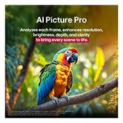 LG 86 palcový LG QNED evo AI QNED85 4K Smart TV 2025, Papagáj na konári stromu v živých farbách. Nadpis informuje o tom, ako LG AI Picture Pro výrazne zlepšilo rozlíšenie, jas, hĺbku a ostrosť scény., 86QNED85A6C, thumbnail 8