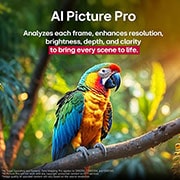 LG 65 palcový LG QNED evo AI QNED85 4K Smart TV 2025, Papagáj na konári stromu v živých farbách. Nadpis informuje o tom, ako LG AI Picture Pro výrazne zlepšilo rozlíšenie, jas, hĺbku a ostrosť scény., 65QNED86A6A, thumbnail 8