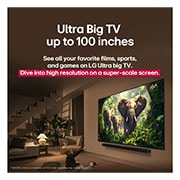 LG 55 palcový LG QNED evo AI QNED85 4K Smart TV 2025, Dievča a pes sedia pred televízorom LG QNED TV namontovaným na stene, na ktorom sa zobrazujú tri slony kráčajúce smerom von nad soundbarom LG Soundbar. Nadpis informuje o tom, ako na obrovskej obrazov, 55QNED85A6C, thumbnail 9