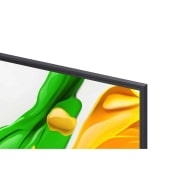 LG 65 -palcový LG QNED evo AI QNED87 MiniLED 4K Smart TV 2025,  3D holografický kvet v mnohých rôznych odtieňoch a tónoch proti čiernemu pozadiu. Definícia a detail kvetu predvádza schopnosť televízora QNED MiniLED vytvárať vizuálne prvky s výnimočnou farbou, jas, 65QNED87A6B, thumbnail 6