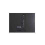 LG 65 -palcový LG QNED evo AI QNED87 MiniLED 4K Smart TV 2025,  Dievča a pes sedia pred televízorom LG QNED TV namontovaným na stene, na ktorom sa zobrazujú tri slony kráčajúce smerom von nad soundbarom LG Soundbar. Nadpis informuje o tom, ako na obrovskej obrazo, 65QNED87A6B, thumbnail 15